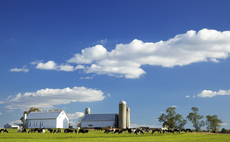 Bird flu and the dairy sector: What is happening in the US  