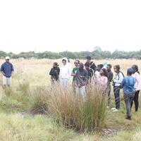 (Hello Africa) Wetland preservation promotes healthy ecosystems in Zimbabwe's capital