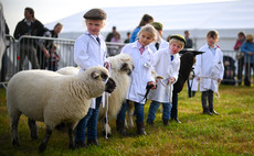 What might the future of UK farming really look like and why these next few years matter