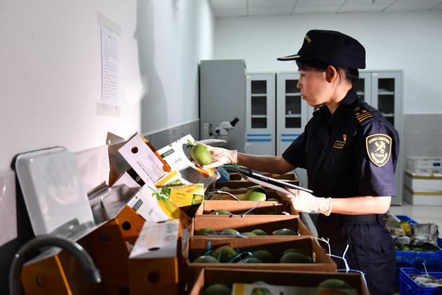 CHINA-HUNAN-CHANGSHA-BANGLADESHI MANGO-IMPORT (CN)