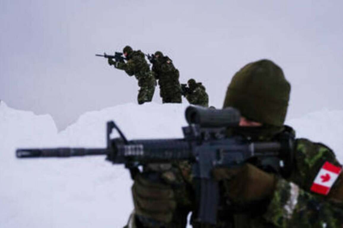 Canada builds mujahideen model against possible US invasion - media