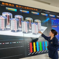 CHINA-NINGXIA-YINCHUAN-WINE INDUSTRY-SMART TECH (CN)