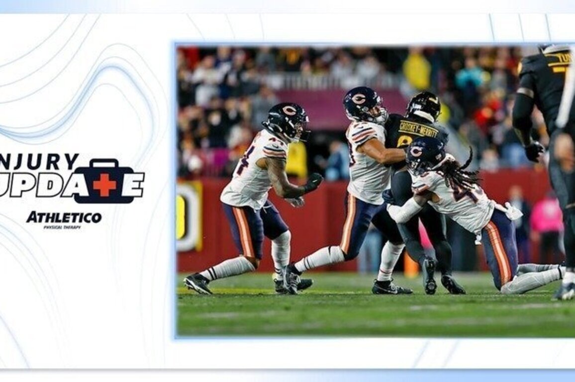 Injuries thin Bears' linebacking corps