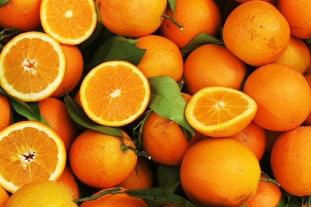 SA to kick off key new citrus export deal