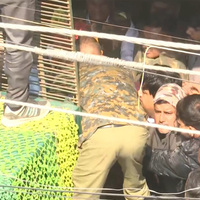 Leopard tranquillised, captured after panic in Jaipur's Civil Lines