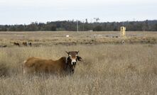 First of a kind Oz study looks at six Origin wells over three year life