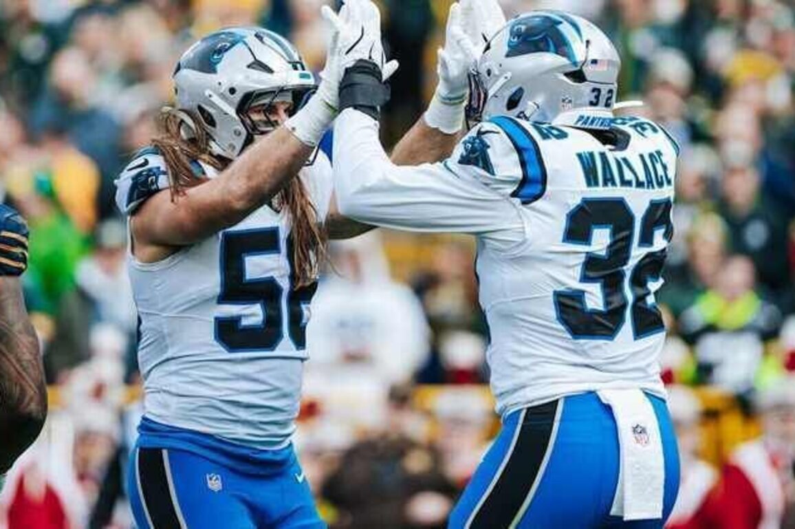 Panthers offseason positional review: Inside linebackers
