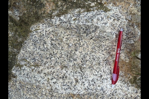 China clears rare earth exports for US carmaker suppliers
