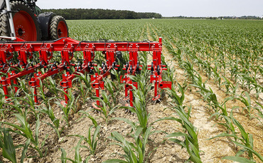farmersguardian.com - Artificial intelligence in farming: The hidden carbon cost of AI