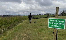 Tragedy of walker and dog killed by cattle