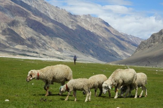 Chinese authorities detain 170 Tibetans for opposing grazing land confiscation orders