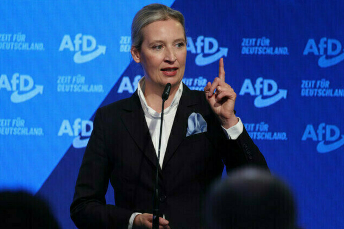 Germany has dealt death blow to the euro  AfD leader