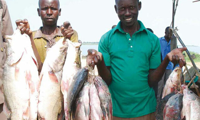 Will the insurance subsidy revive agriculture? Will the insurance subsidy revive agriculture?
