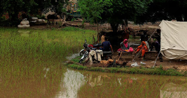 Floods destroy crops in Pakistan, UN warns of looming food crisis