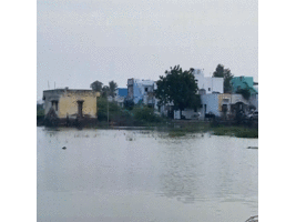 Tamil Nadu: Salt production halts in Thoothukudi as stagnant rainwater causes trouble