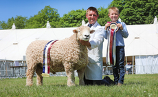 Devon County Show: Native breeds lead the livestock at Devon County Show  