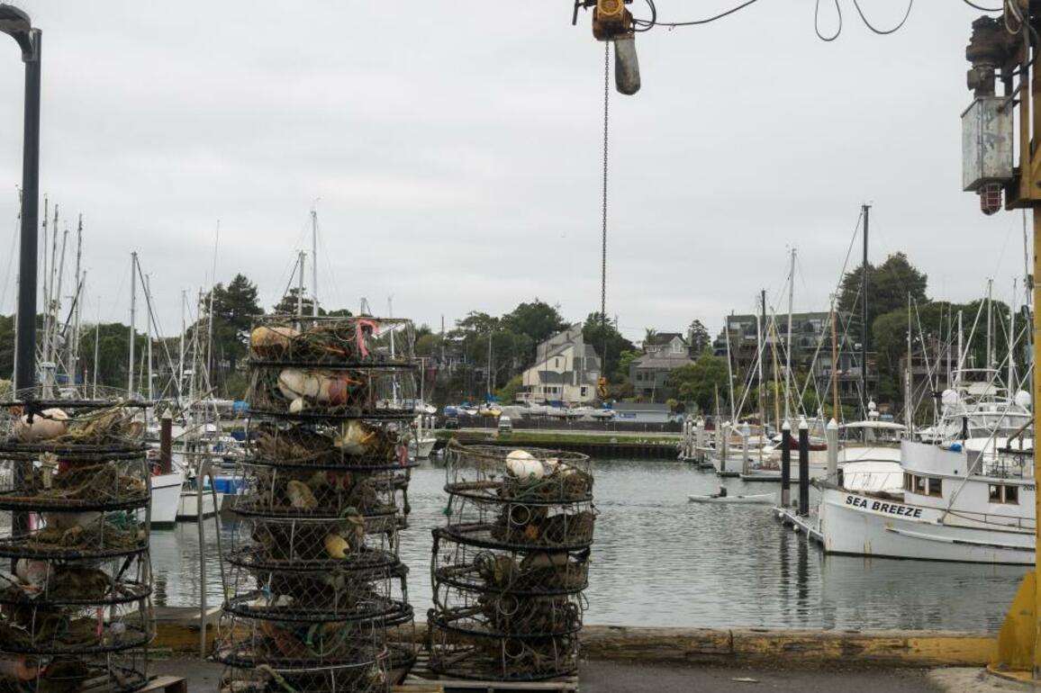 Commercial salmon fishing to be canceled again in California this year