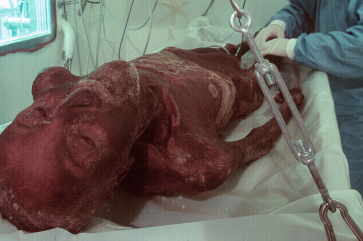 Scientists bake bread with yeast from 5,300-year-old mummy