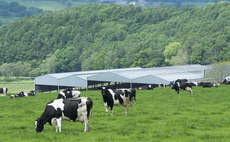 Prospects brighter for remaining dairy farmers