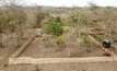  ESG projects, such as this tree nursery, are a key part of Chilalo's development plans