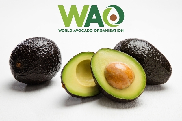 World Avocado Organisation Highlights Avocado's Role in Post-Monsoon Wellness as India Enters the Festive Season