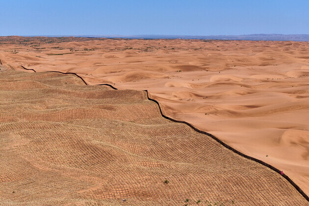 Xinhua Headlines: China makes major strides in fight against desertification, shares lessons with world
