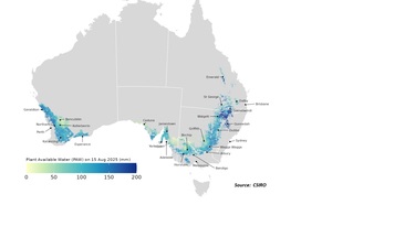 CSIRO's latest Wheatcast shows a mixed result for Plant Available soil Water (PAW) throughout the grain growing regions of Australia.