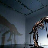 Fossils are scientific evidence, and shouldn't be auctioned for millions to private buyers