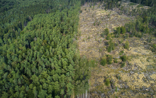  Study: Nature risks threaten to drive up borrowing costs