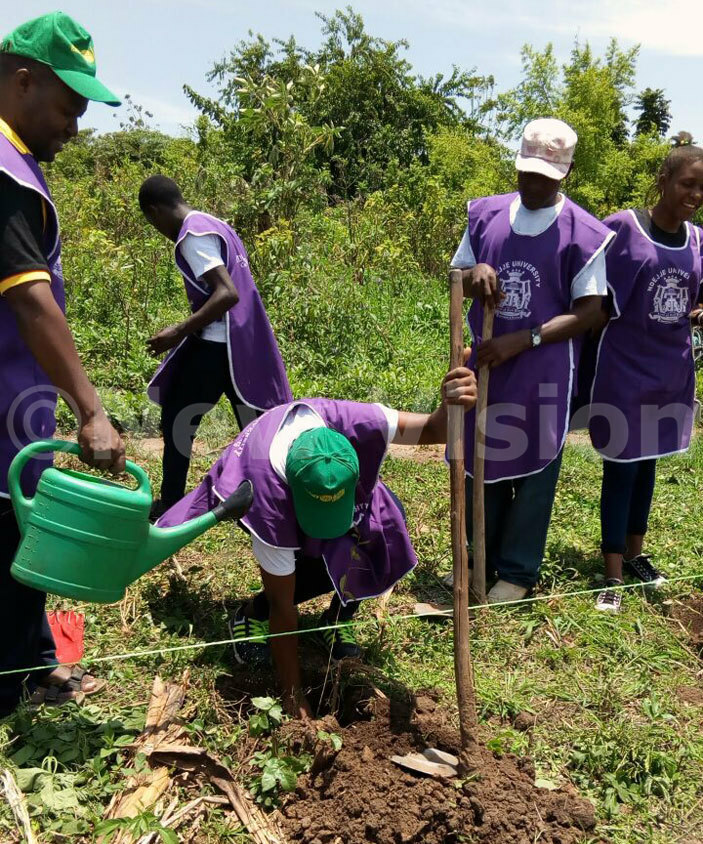 otaractors planting trees