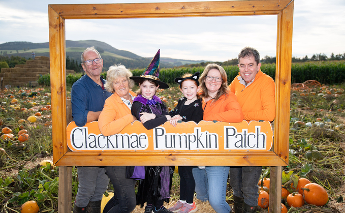 Pumpkins create a vital link between farm and consumer