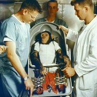 We've been sending animals into space for 7 decades - yet there are still no rules to protect them from harm