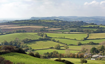 "We do not have foot and mouth disease in the UK, but nor would we want to inadvertently miss it", says Wales chief vet 