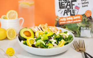 GrowUp Farms: Rescue deal saves more than 80 jobs at vertical farming pioneer