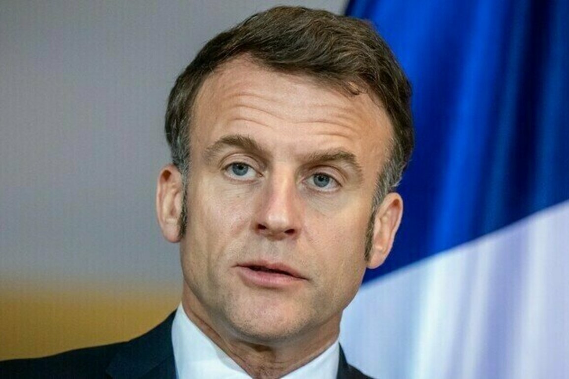 Macron could lead EU talks with Russia Telegraph