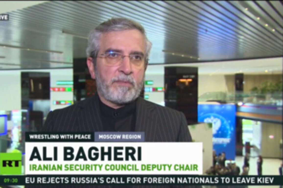 US negotiating tactic 'detached from reality' - Iranian diplomat