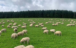 Pushing boundaries on Welsh hill farm   
