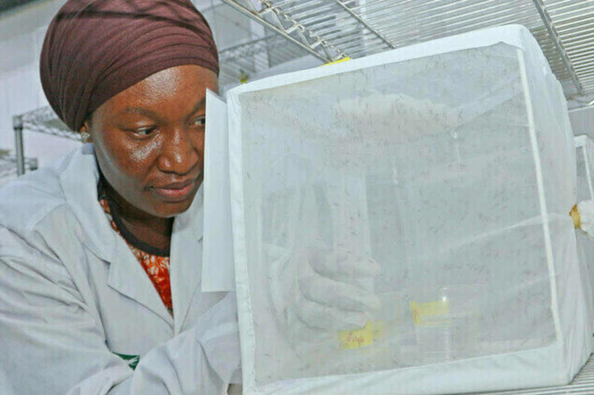 African state suspends health project funded by Bill Gates
