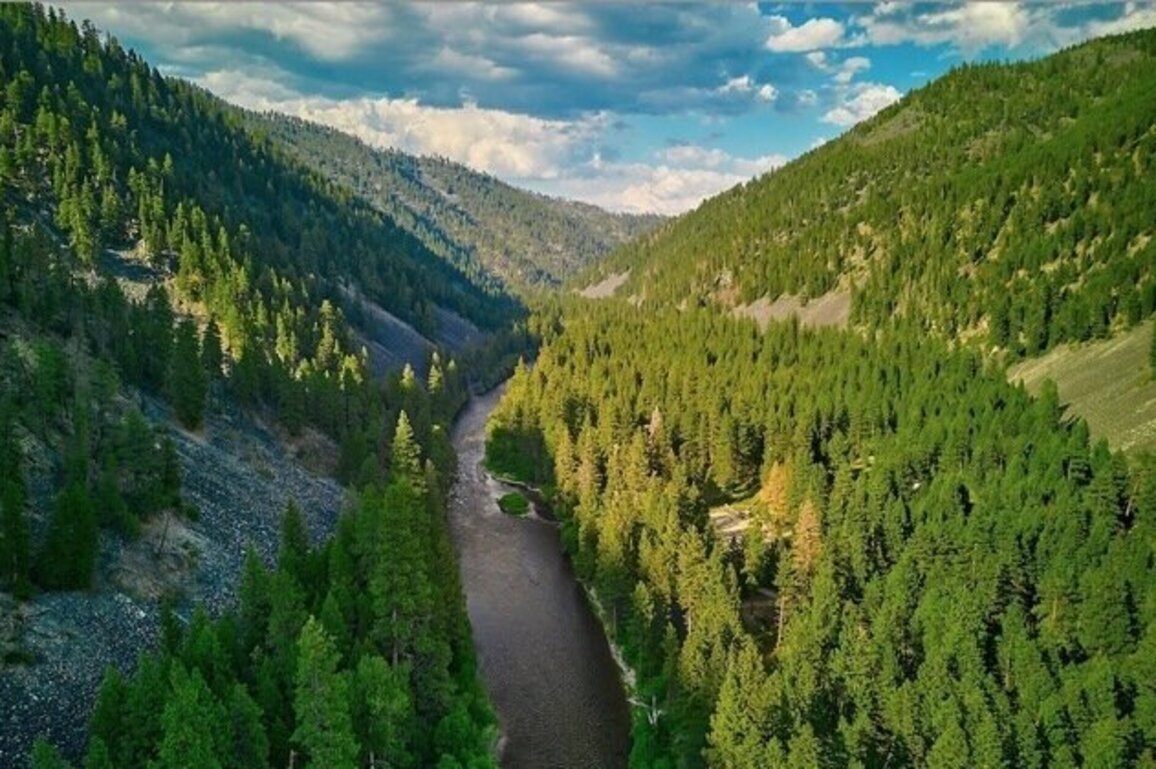 MT conservation groups discuss Roadless Rule repeal 