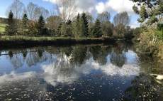 'Dirty man of Europe': English swimming waters five times more likely to be polluted than those in the EU