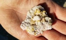 CANEX Metals has reported a new gold find at Gold Range, in Arizona, USA