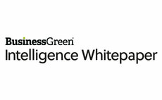 BusinessGreen Intelligence Whitepaper: COP27 and the implications for business 