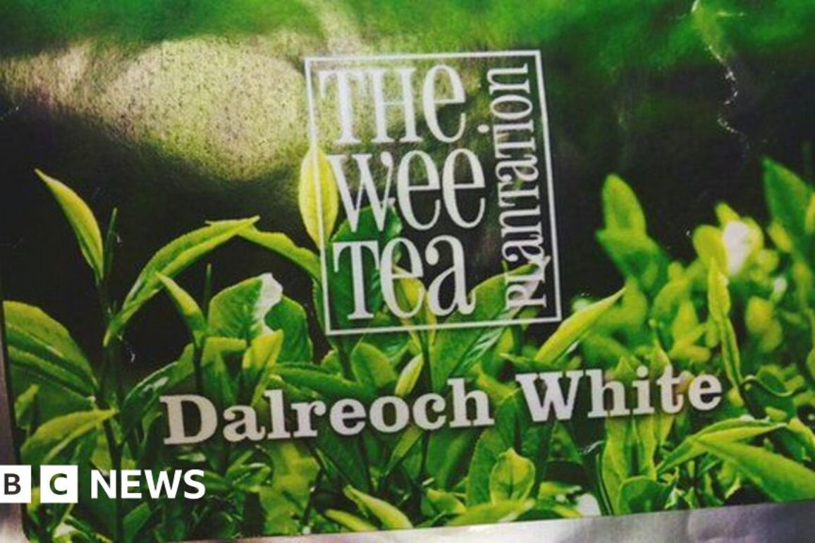 Fraudster made 550,000 selling fake 'Scottish-grown tea'