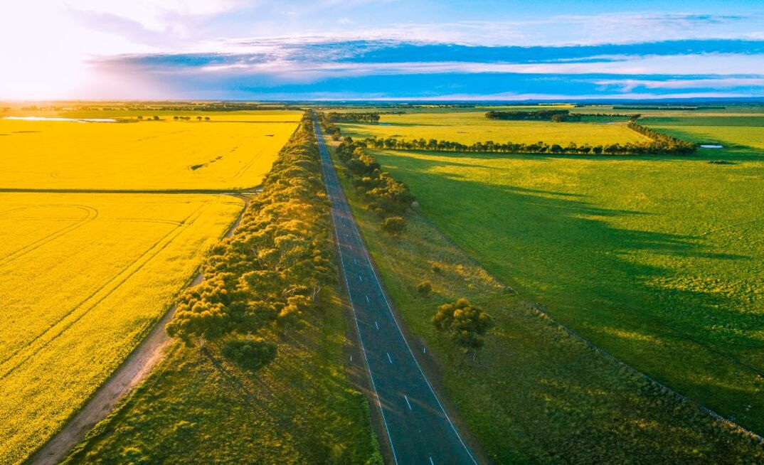 The Government has set a new emission reduction target for 2035, and the role it expects agriculture to play in meeting its goal of net zero by 2050. 