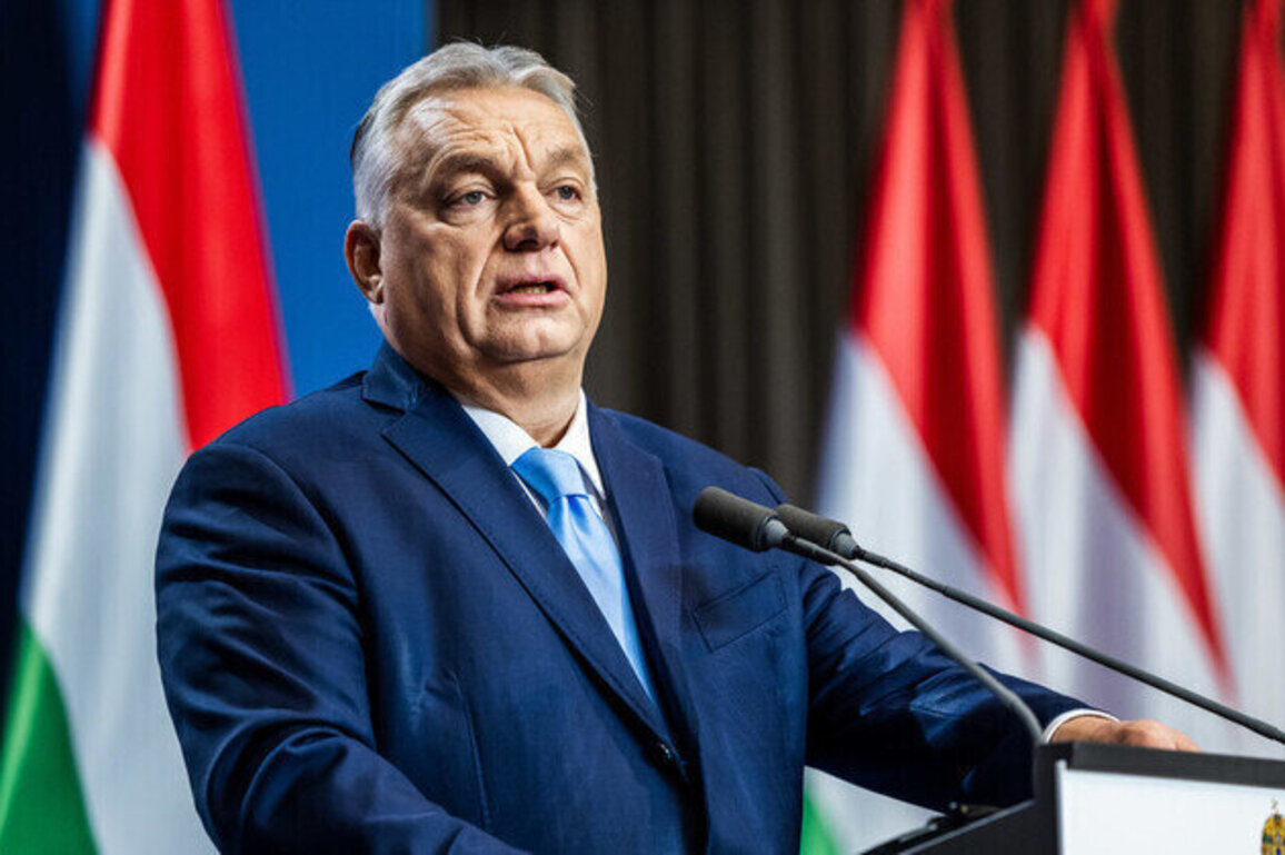 Ukrainians behind theft of EU citizens personal data  Orban