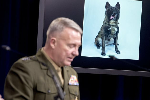 Alpha dogs in the Trump era