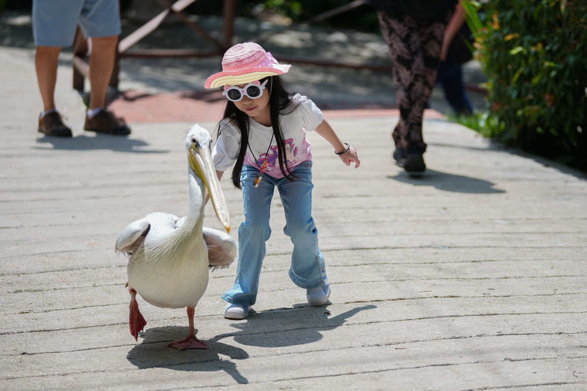 MALAYSIA-KUALA LUMPUR-BIRD PARK-LEISURE TIME