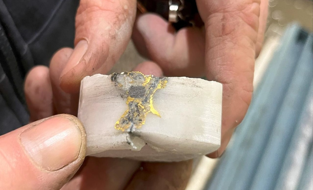 Falcon cashes in on Bendigo gold field hopes