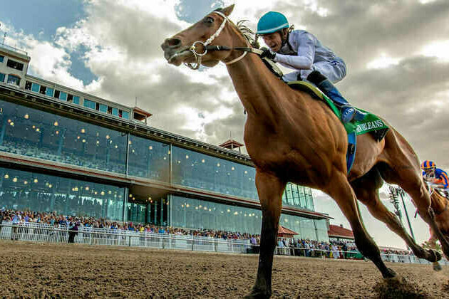 "Undrafted" horse owned by undrafted QB pulls huge upset