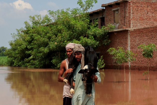 Khyber Pakhtunkhwa floods destroy thousands of acres of crops, threaten livestock: UN-OCHA